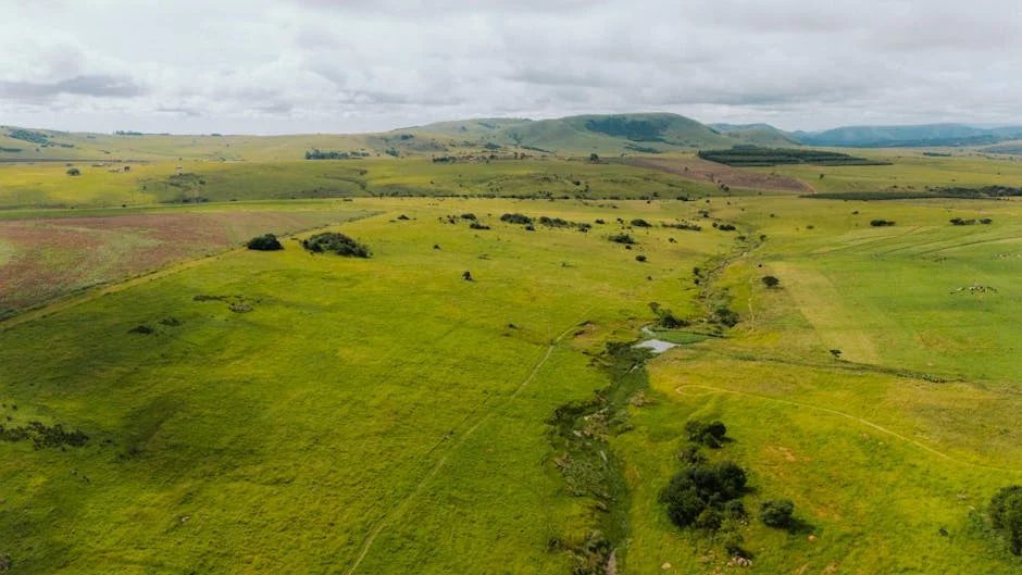 South Africa Treasury Demands Private Partner to Boost Retail Bond Sales: What It Means for Investors — Politics Governance