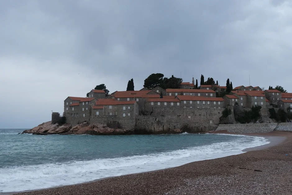 Stefan Baiaram reveals Mourinho's doubts about Benfica — what it means for fans — Business Economy