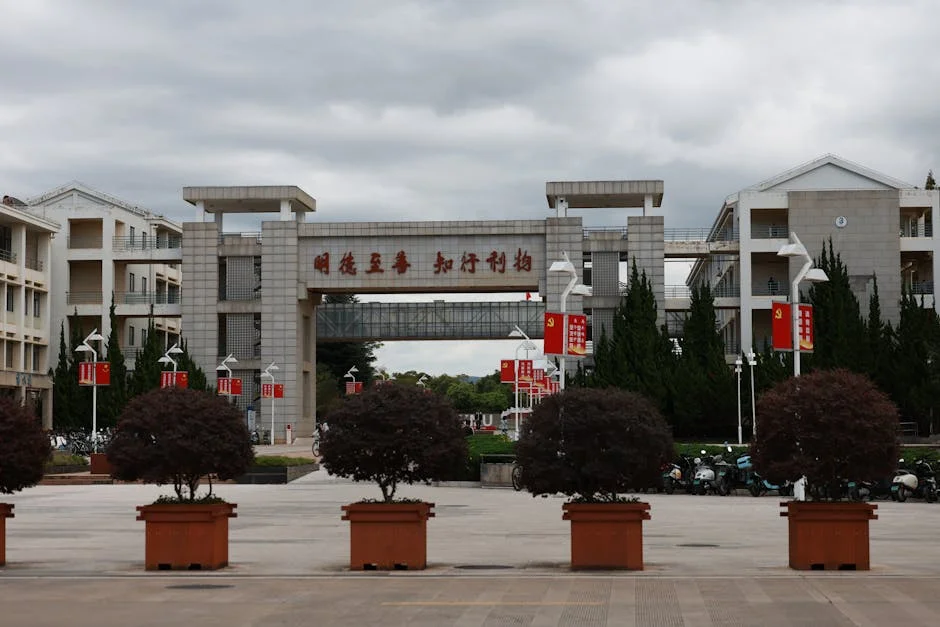 Sundowns Dominate Chippa 3-1 in Cape Town Showdown — Business Economy