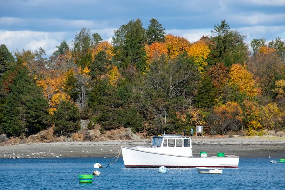 Suryakumar mocks England's near chase of 254 in Mumbai — here's the full story