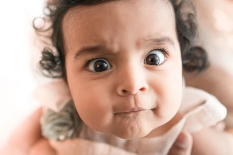 Tamil Nadu Faces Pivotal 2026 Election — Four Competing Visions Emerge