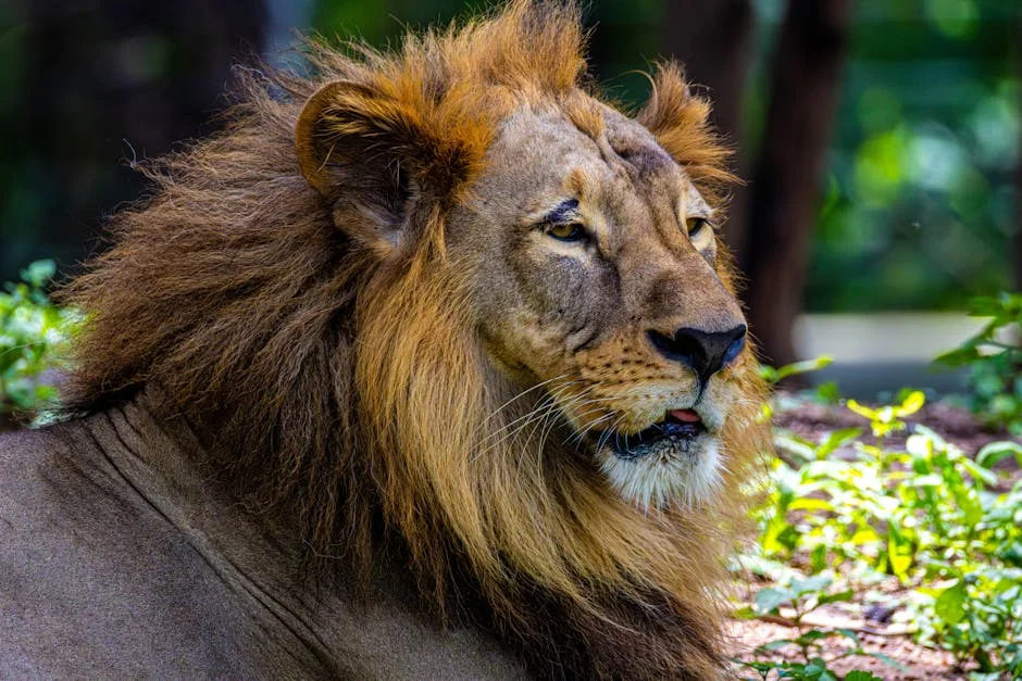 Telangana Man Attacked After Khamenei Death Post: Community Divided Over Violence — Business Economy