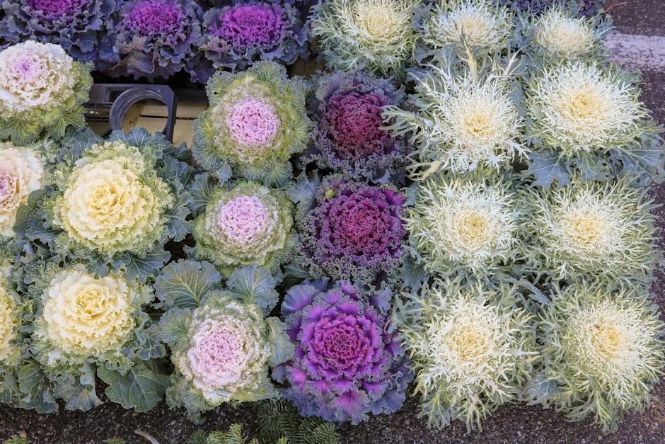 Tirelo Kale celebrates 26th birthday with revealing photoshoot and jewellery collab: local impact explained — Business Economy