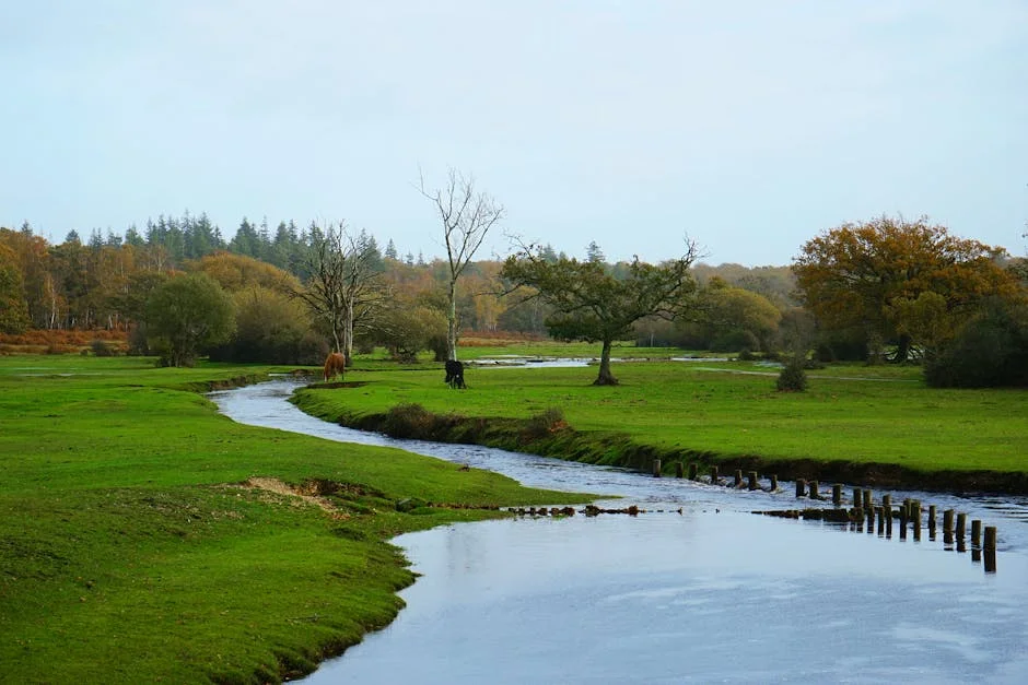 Tirupati Wildlife Officials Slam Illegal Poachers After Elephants Electrocuted — community outraged — Business Economy