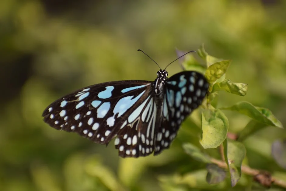 TTD Demands Legal Action Against Unauthorised Birthday Celebrations in Tirumala: What It Means for Locals — Business Economy