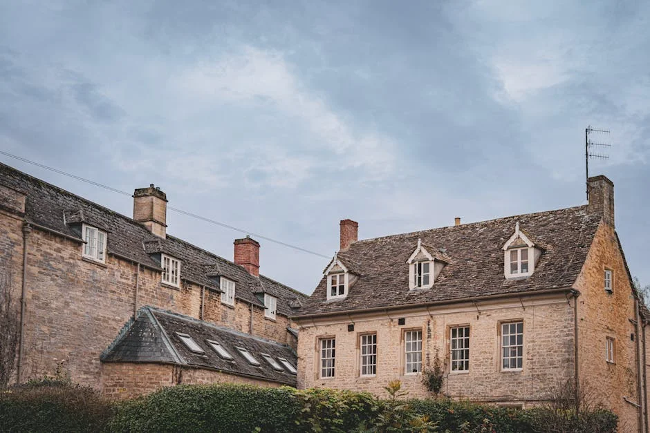 Ucraniana Spraga opens kombucha factory in Portugal: what it means for local jobs — Business Economy