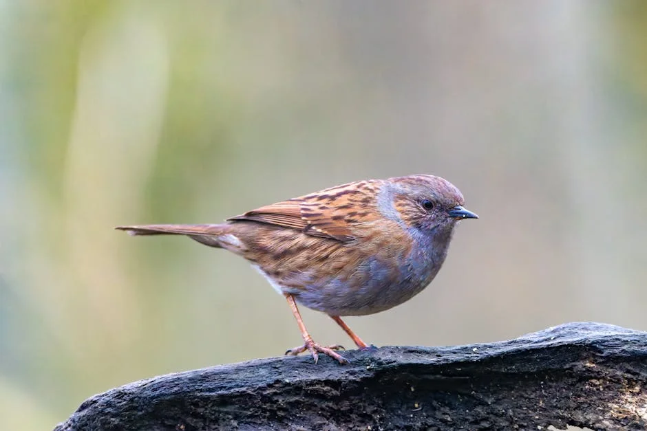 US Warns Americans to Avoid Travel to Pakistan: What This Means for Locals — Business Economy