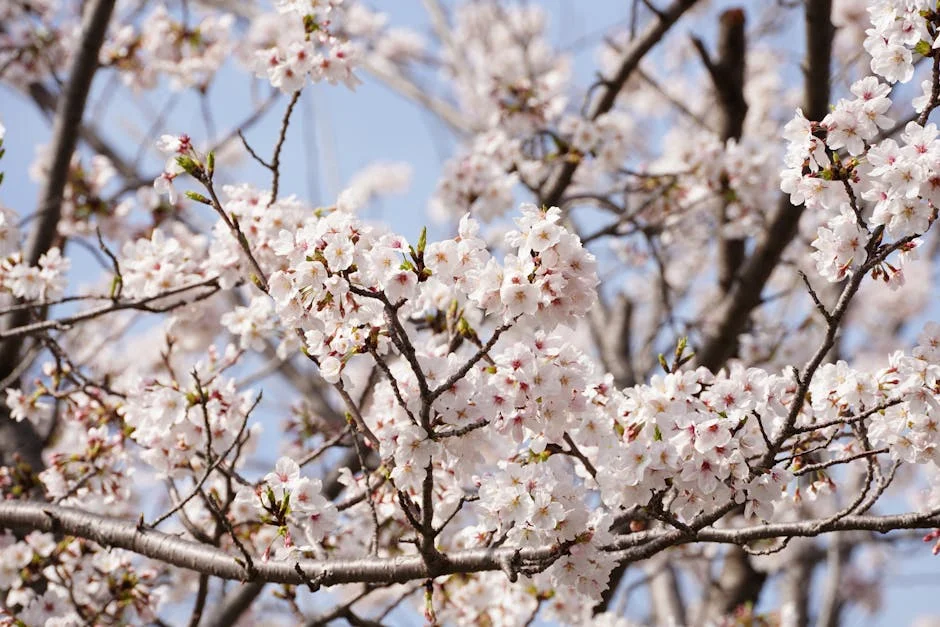 Uttarakhand Sees Warm Start at 14.92°C Amid April Weather Shift