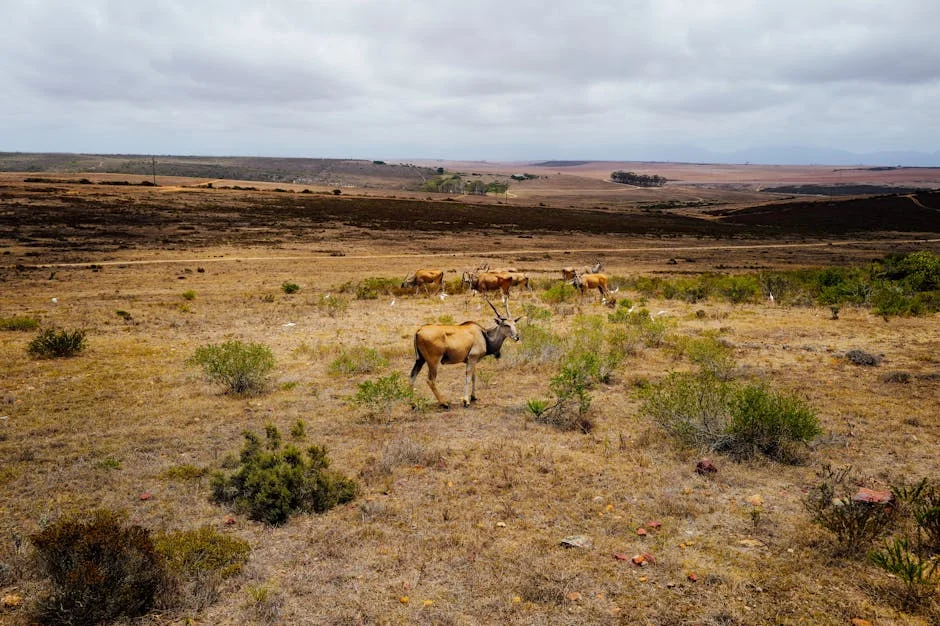 Vercel Breach Exposes South African Developers' Data