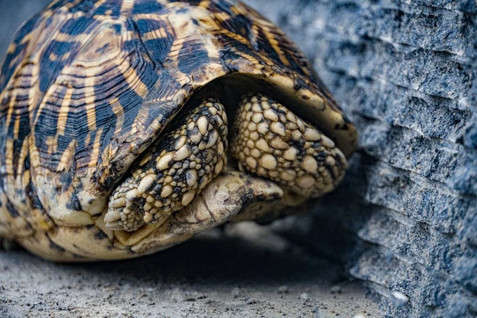 Visakhapatnam’s Biodiversity Park Turns 25: What It Means for Local Communities — Development