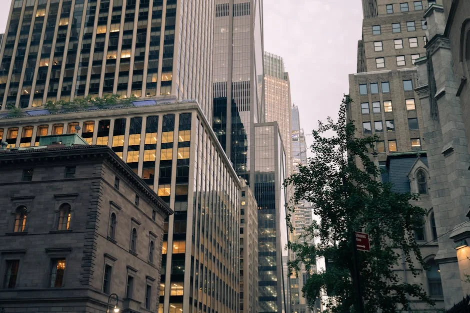 Wall Street Surges on Optimism — Investors See More Gains Ahead