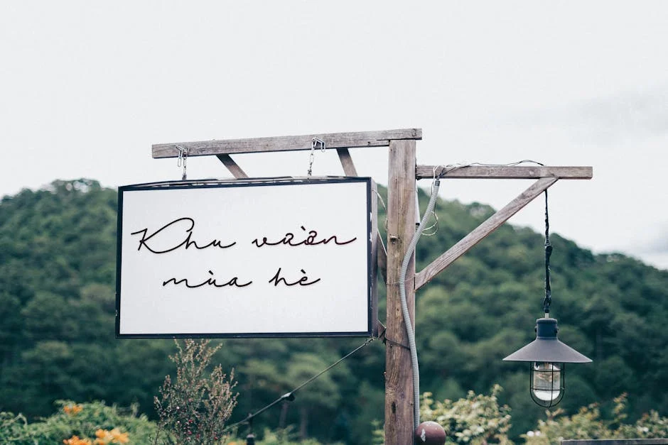 Wendell Carter Jr. Signs New Contract — Impact on NBA Fans in India — Business Economy