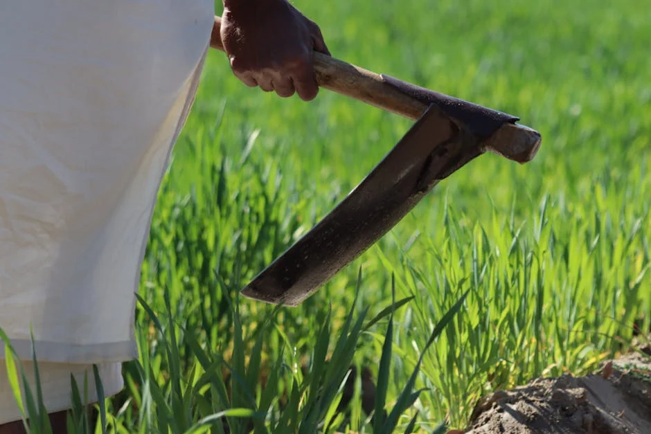 YSRCP President Slams NDA Government Over Women's Safety — Politics Governance